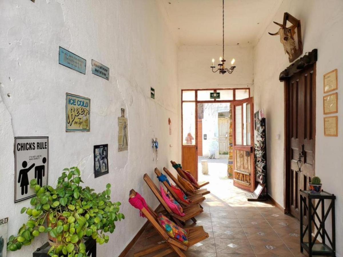 Ikali Hostel Monterrey Exterior photo