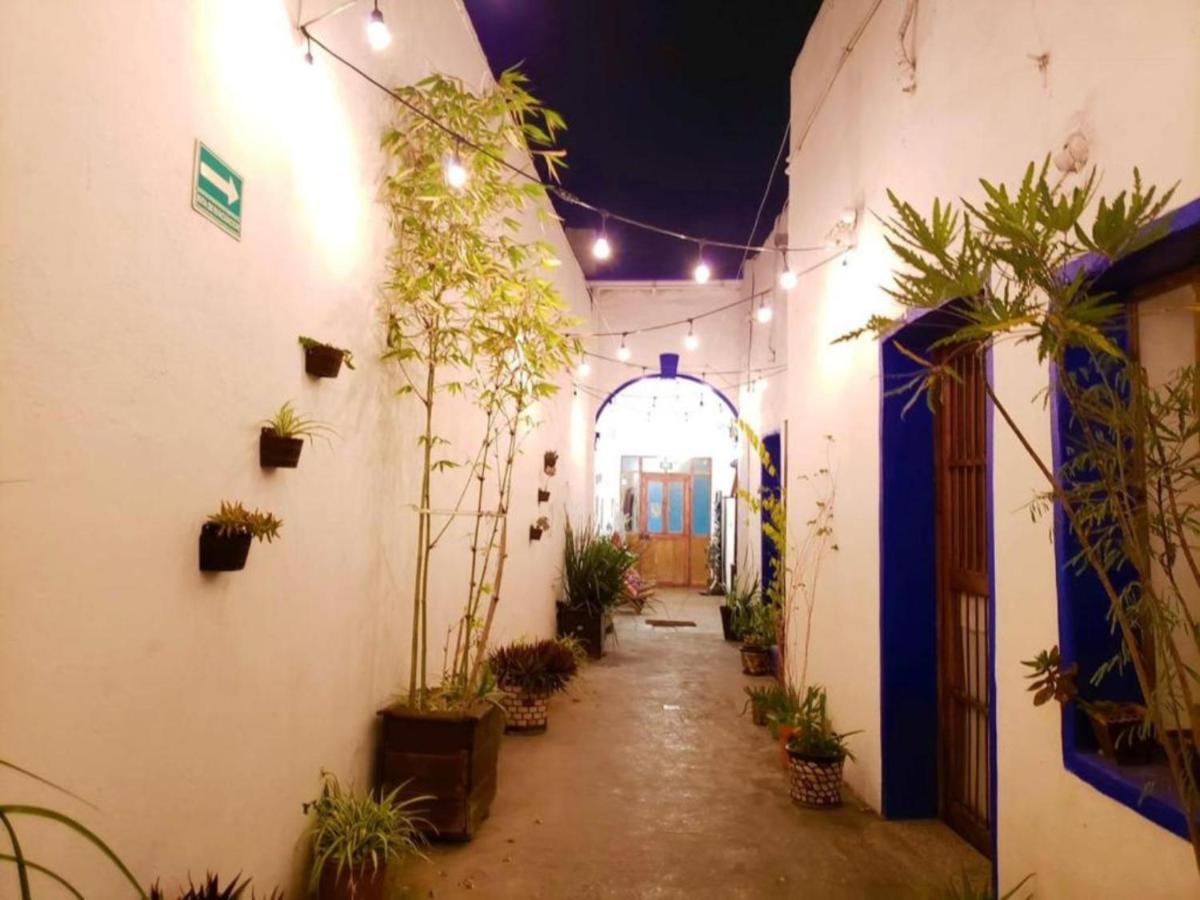 Ikali Hostel Monterrey Exterior photo