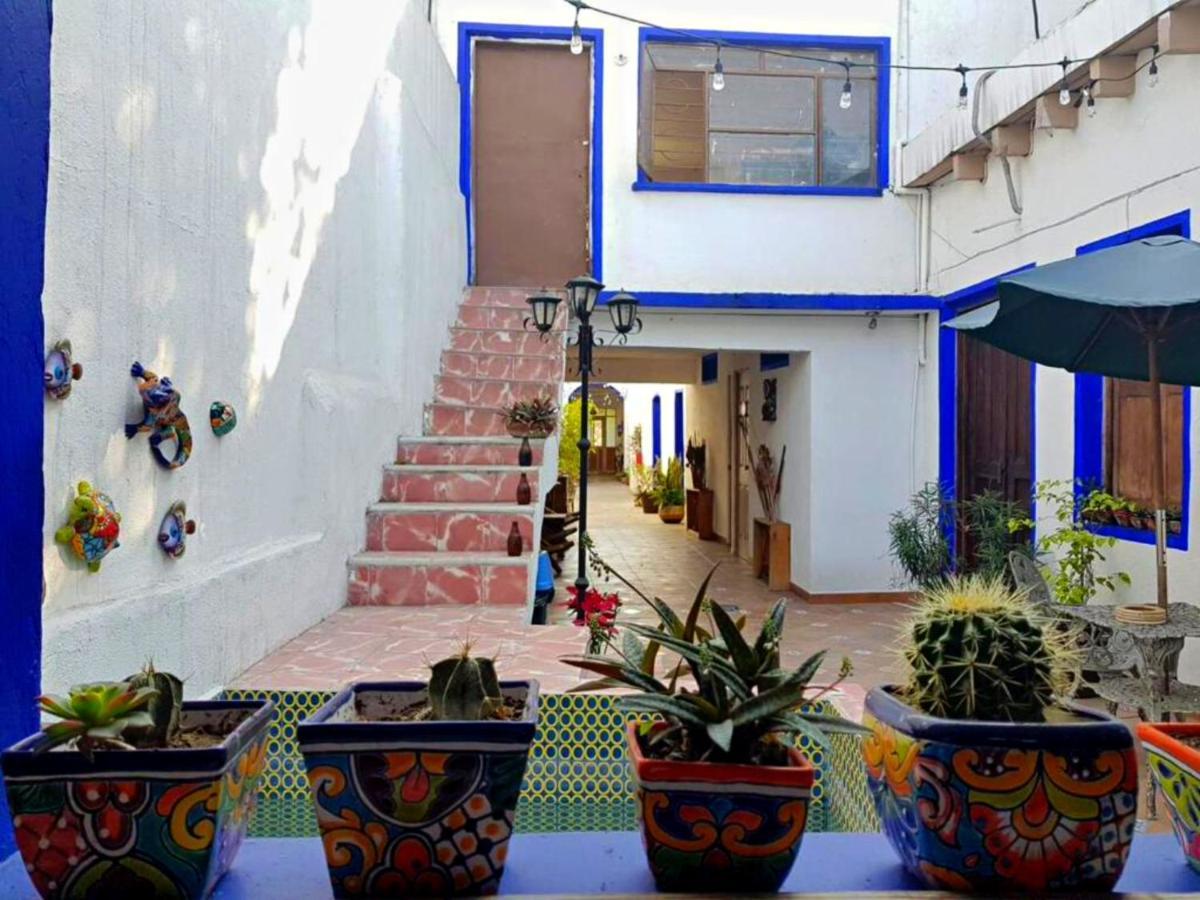 Ikali Hostel Monterrey Exterior photo